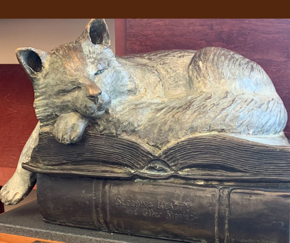 Closeup of Puddles the Cat