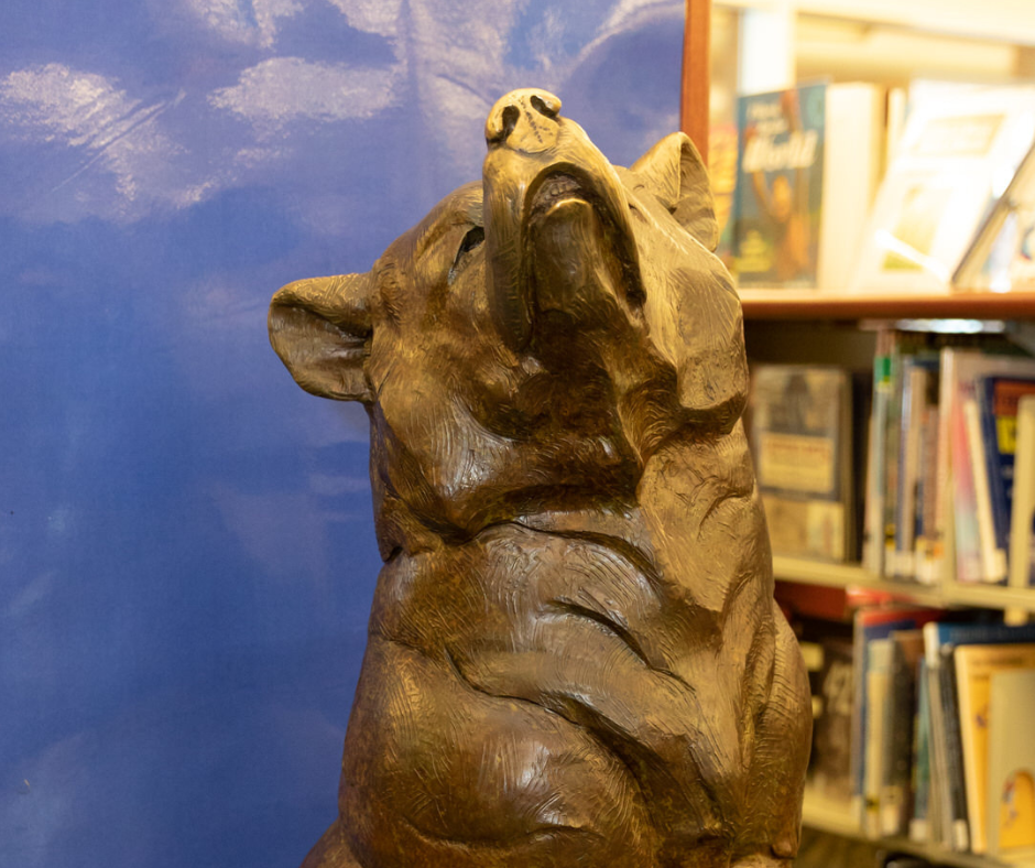 Closeup image of Webster the Bear