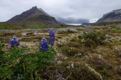 Photography by Danyel Woodring