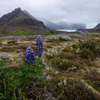 Photography by Danyel Woodring